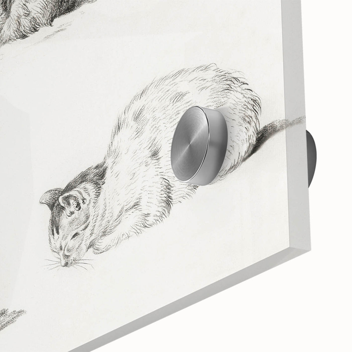 Romanticism Art: Five Studies of Cats by Jean Bernard