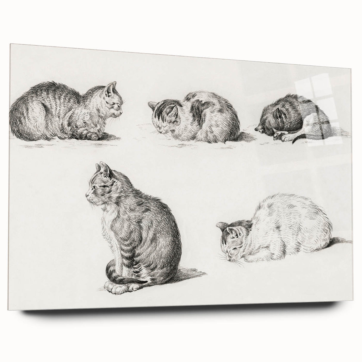 Romanticism Art: Five Studies of Cats by Jean Bernard