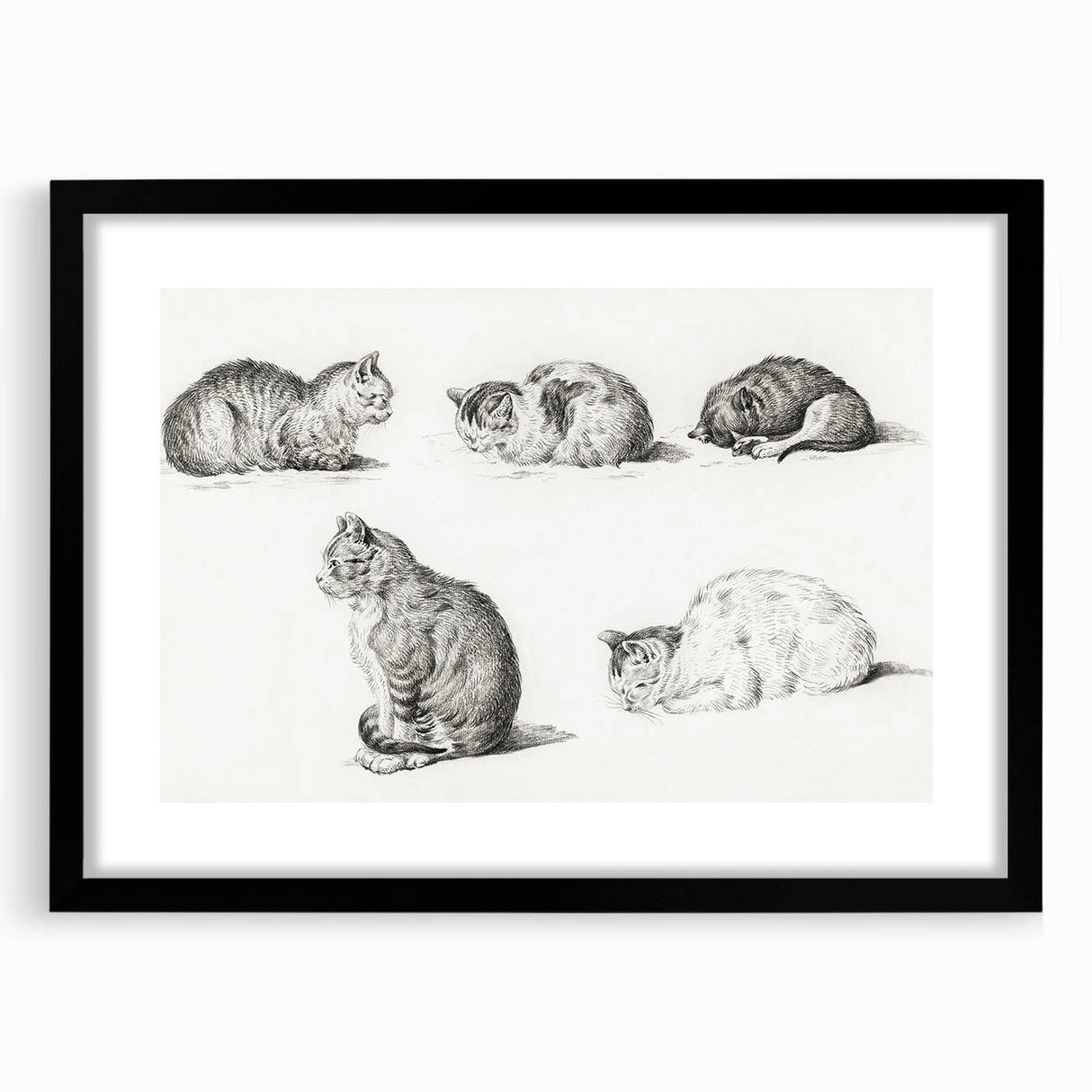 Romanticism Art: Five Studies of Cats by Jean Bernard