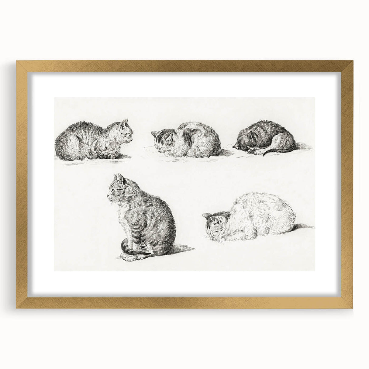 Romanticism Art: Five Studies of Cats by Jean Bernard