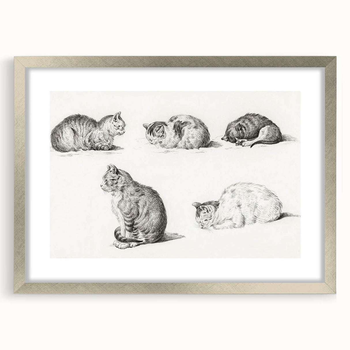 Romanticism Art: Five Studies of Cats by Jean Bernard