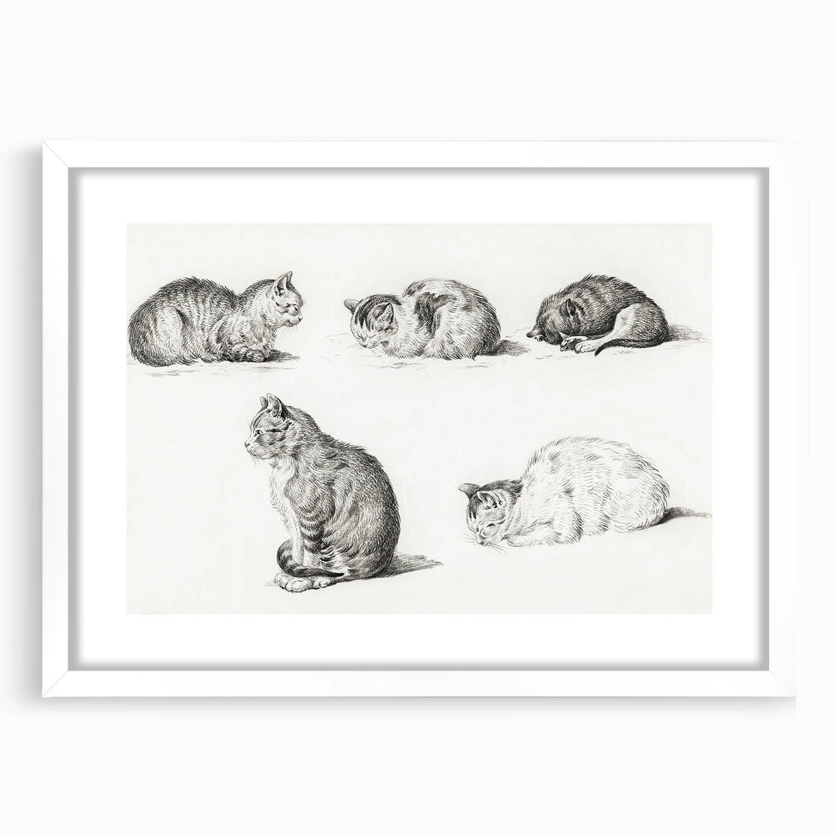 Romanticism Art: Five Studies of Cats by Jean Bernard