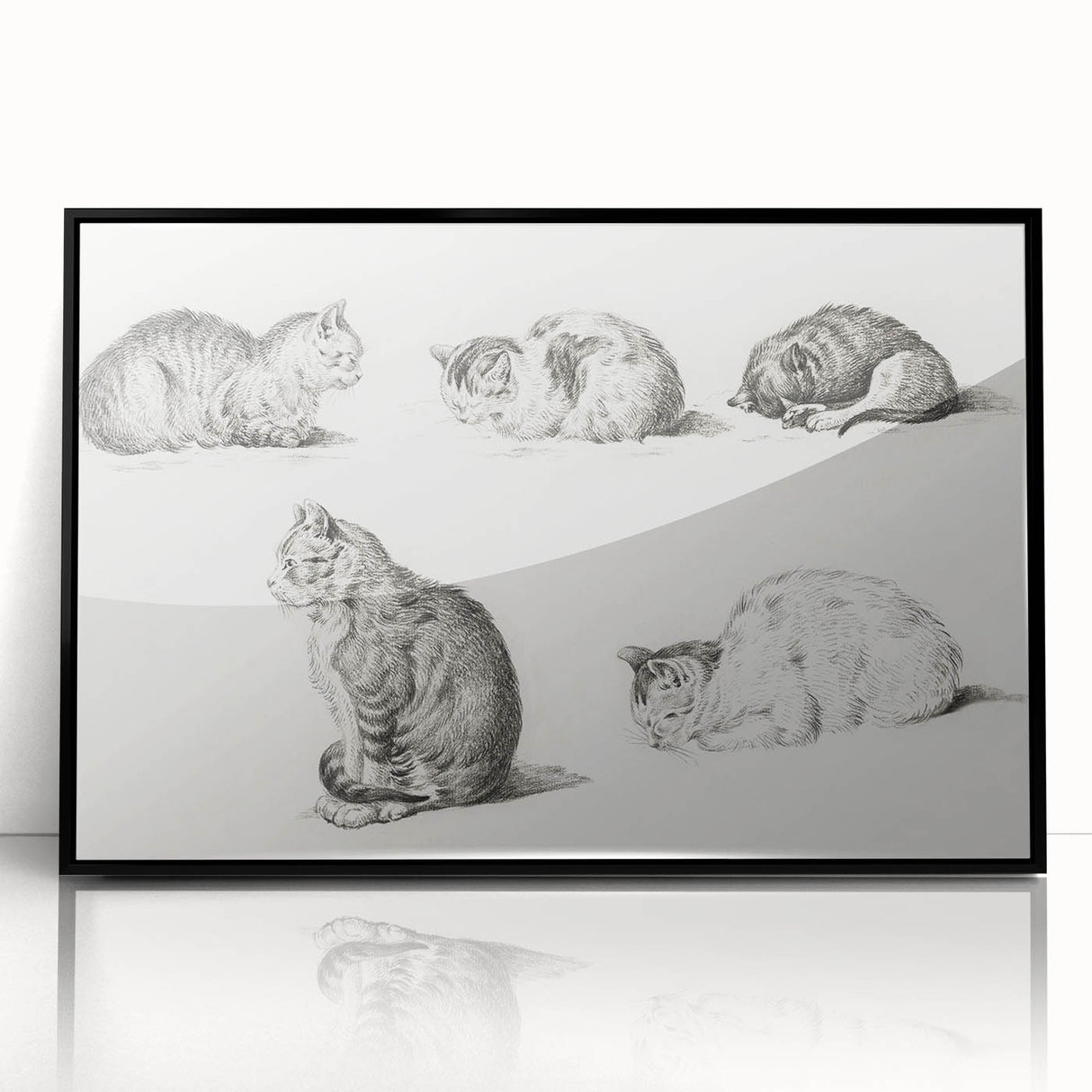 Romanticism Art: Five Studies of Cats by Jean Bernard