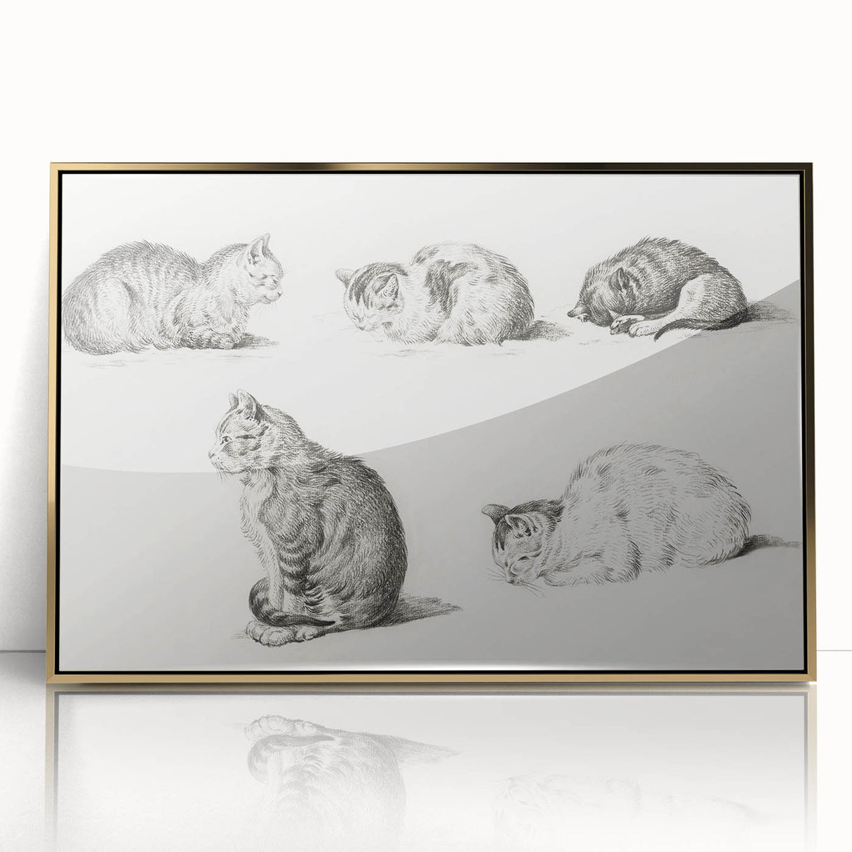 Romanticism Art: Five Studies of Cats by Jean Bernard