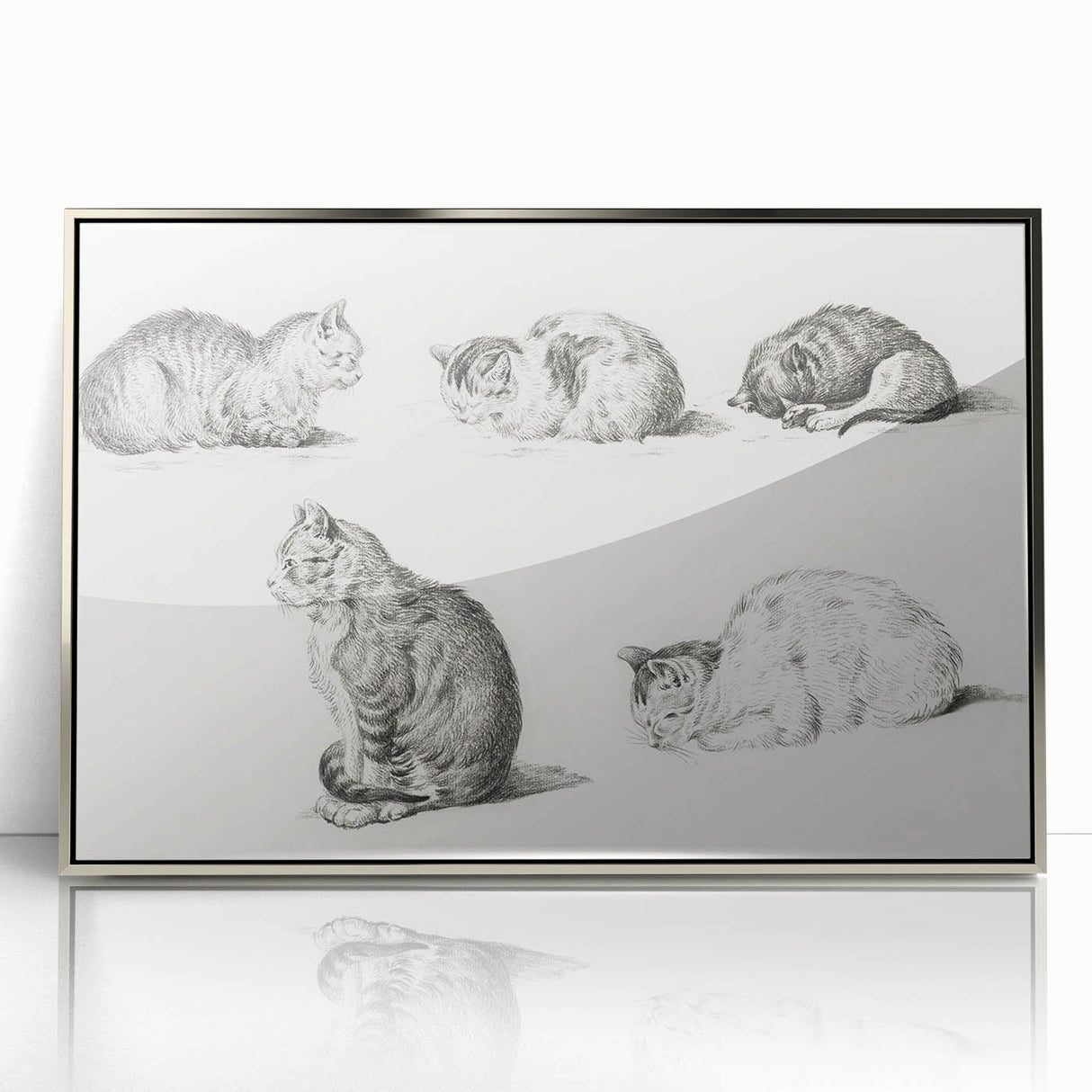 Romanticism Art: Five Studies of Cats by Jean Bernard