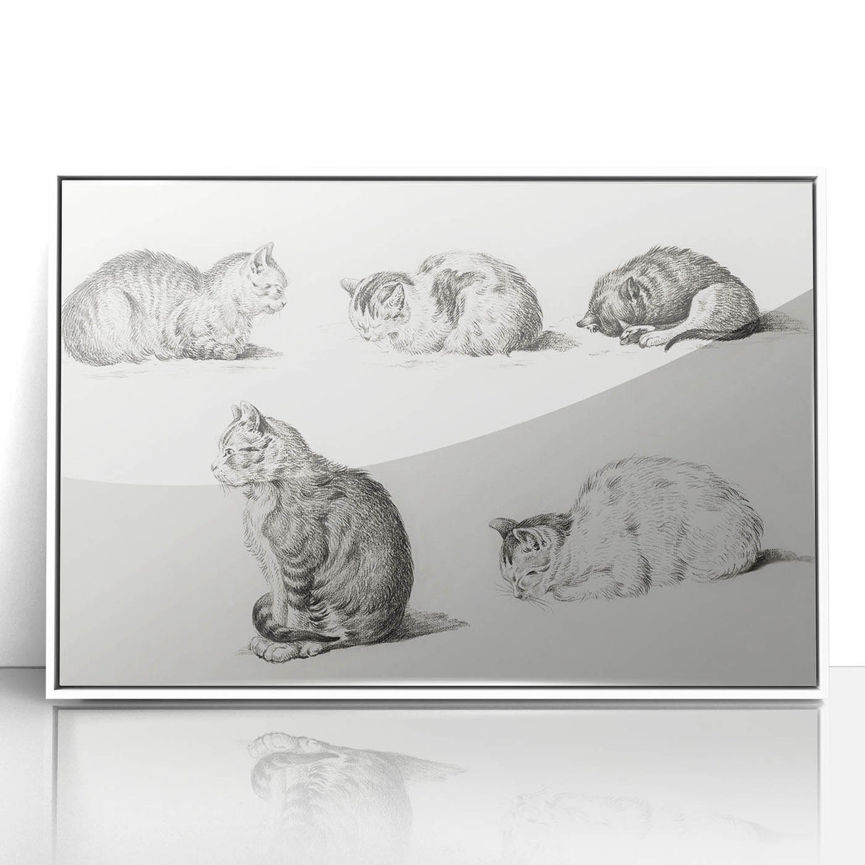 Romanticism Art: Five Studies of Cats by Jean Bernard