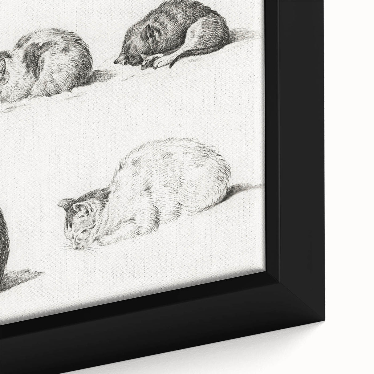 Romanticism Art: Five Studies of Cats by Jean Bernard