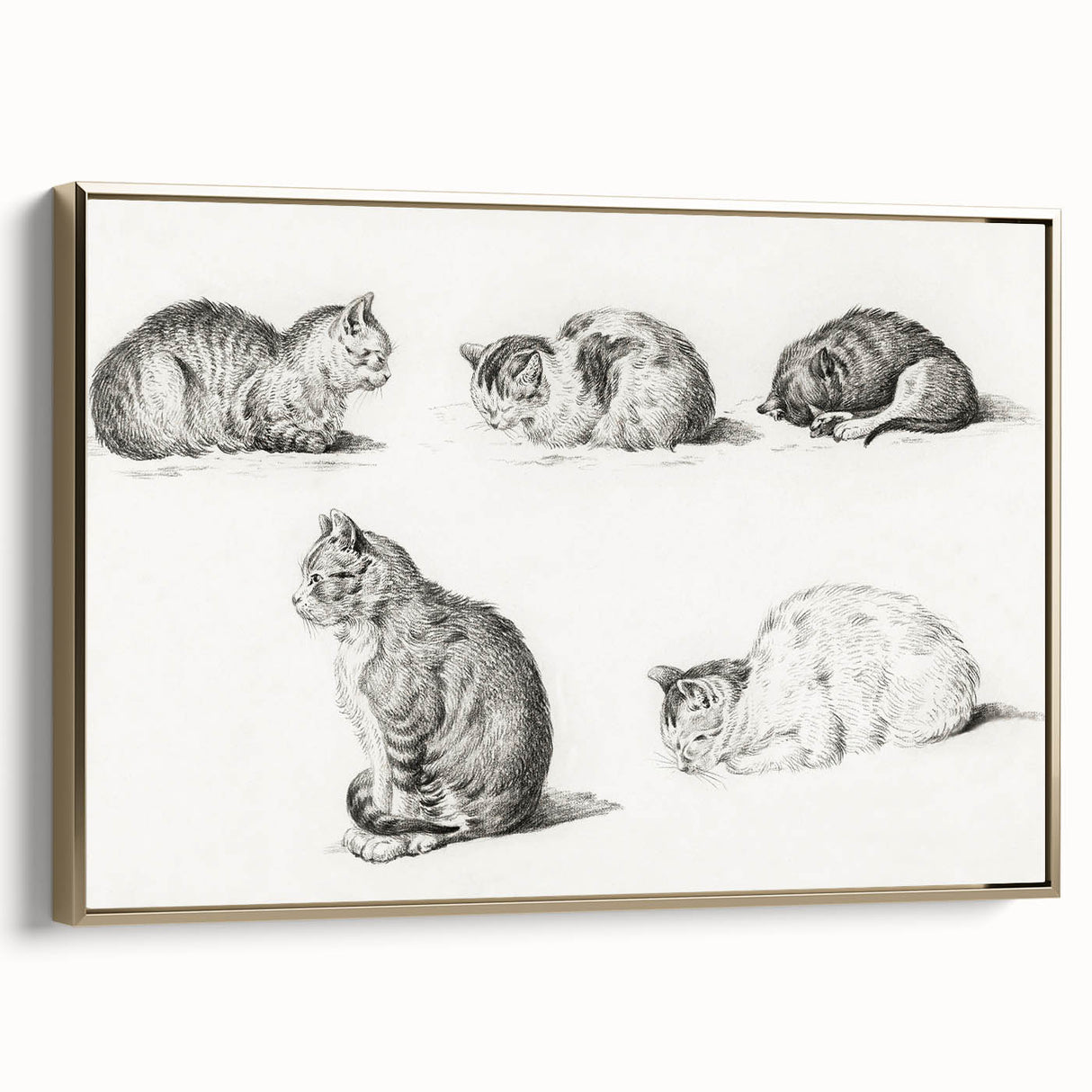 Romanticism Art: Five Studies of Cats by Jean Bernard