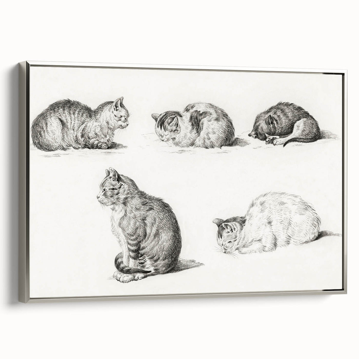 Romanticism Art: Five Studies of Cats by Jean Bernard