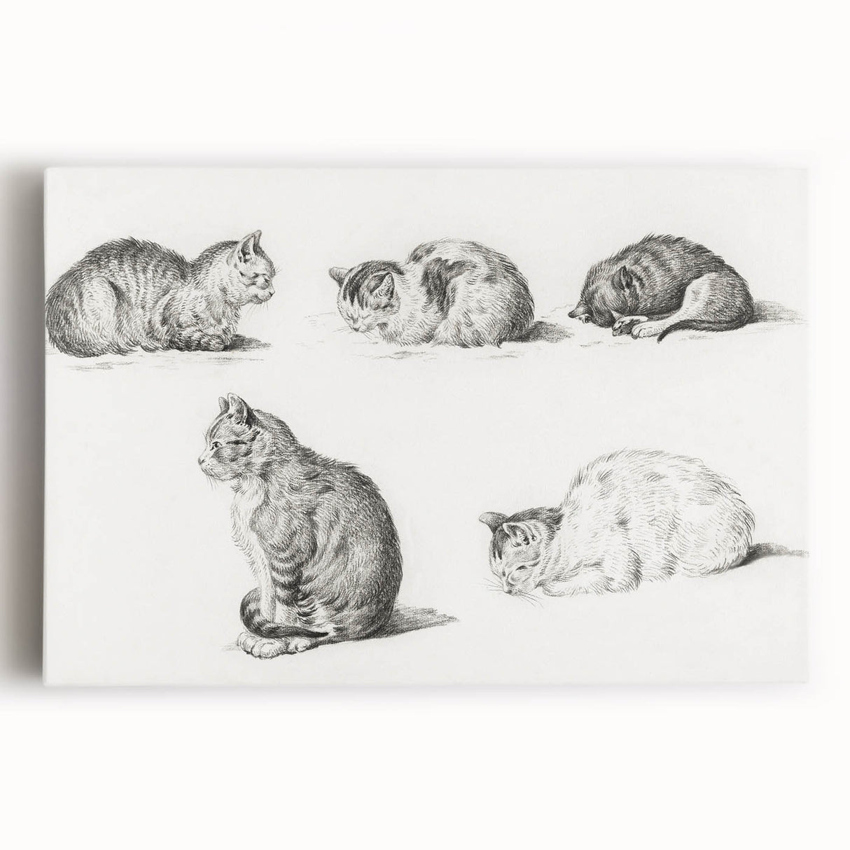 Romanticism Art: Five Studies of Cats by Jean Bernard
