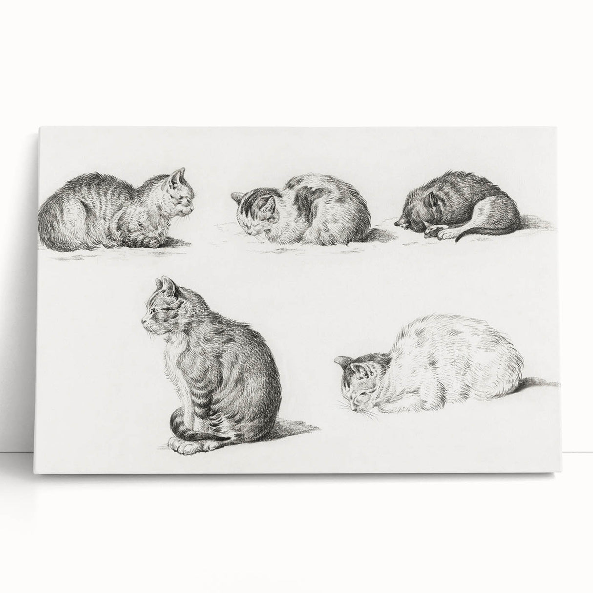 Romanticism Art: Five Studies of Cats by Jean Bernard