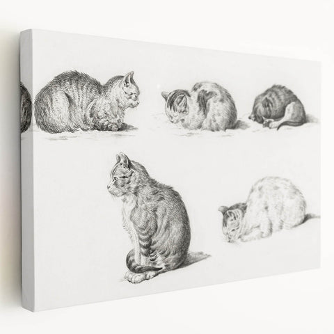 Romanticism Art: Five Studies of Cats by Jean Bernard
