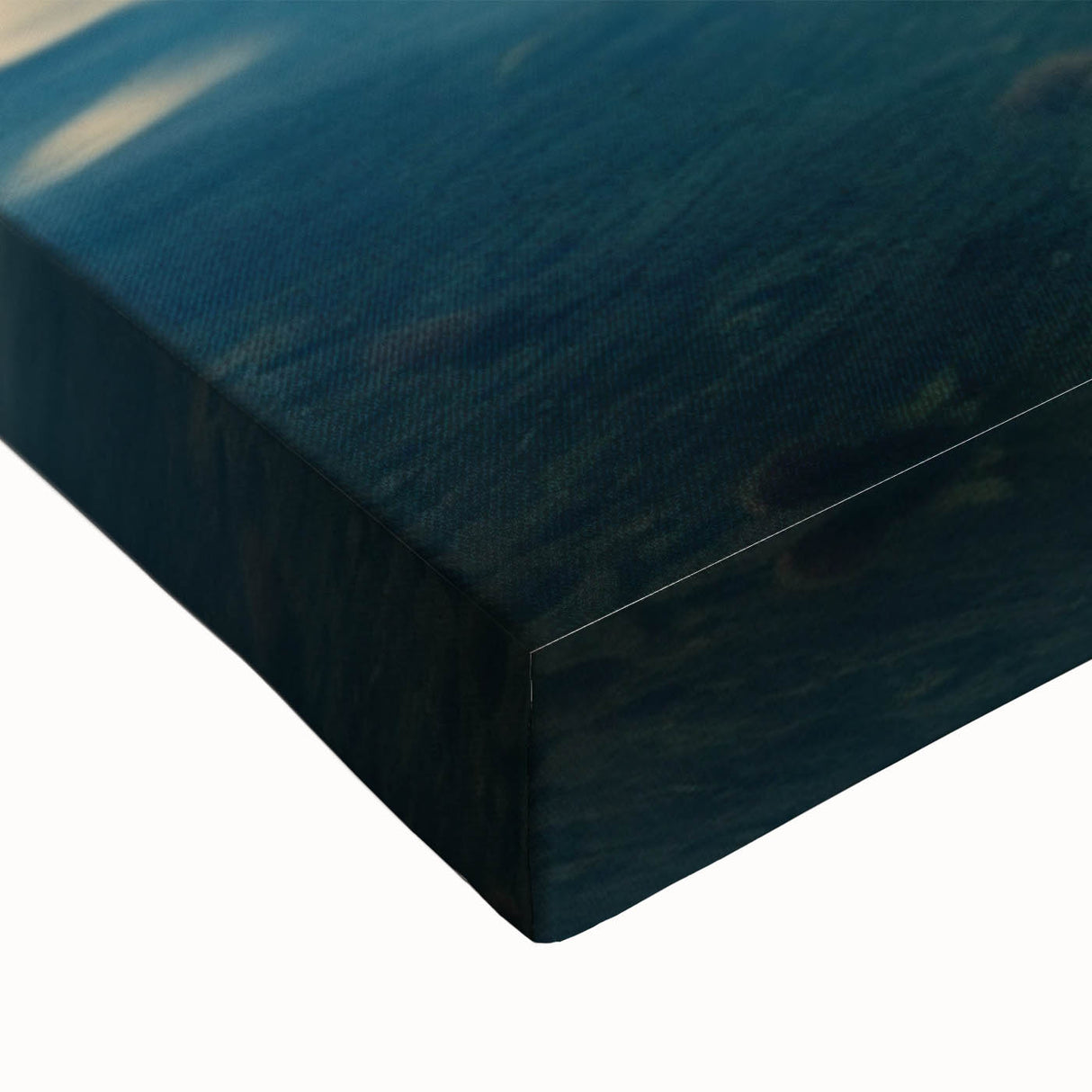 Large art canvas featuring a black and white landscape of Mauritius, ideal for bedroom wall decor.