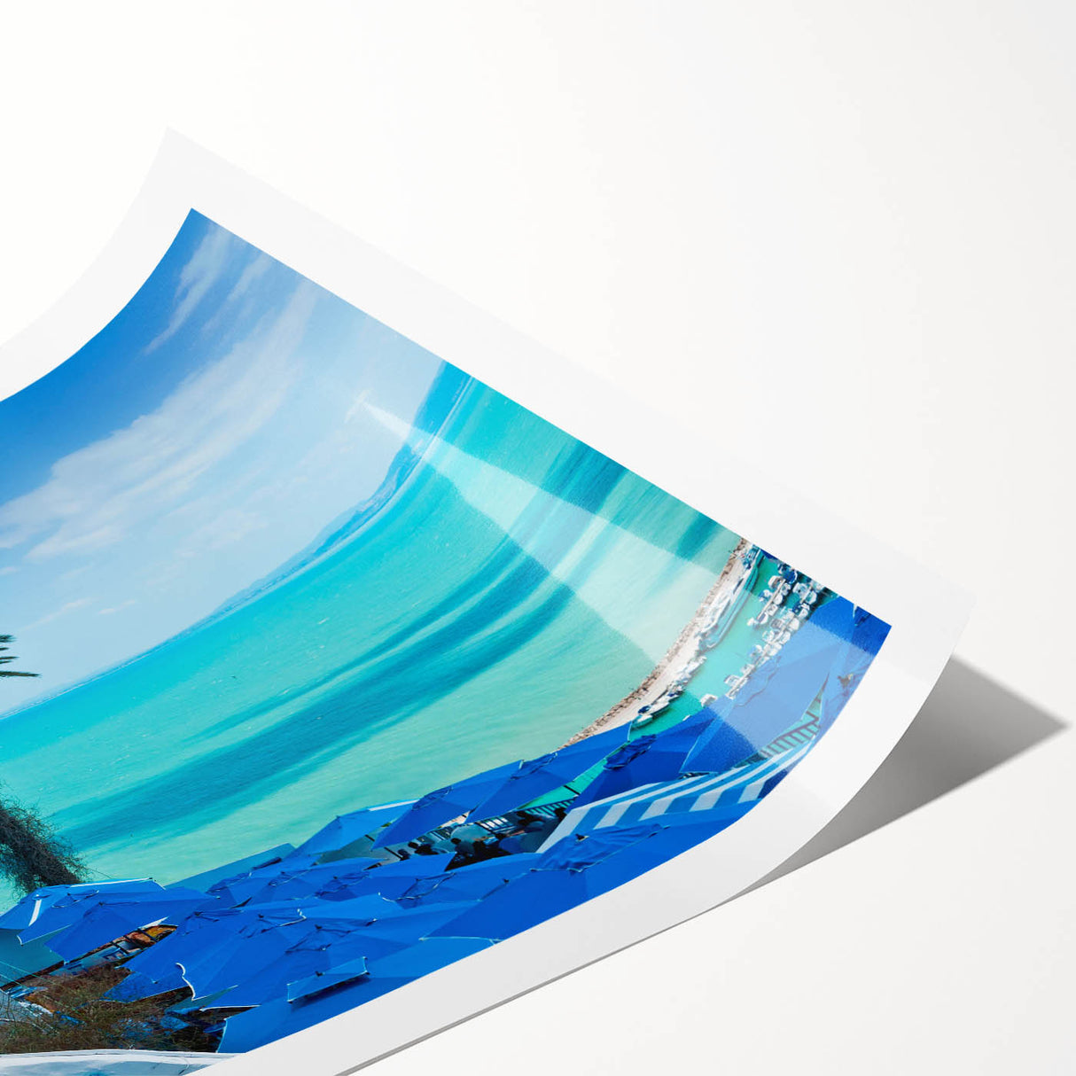 Extra large rolled print depicting line art flowers in monochrome, ideal for large living room wall art.