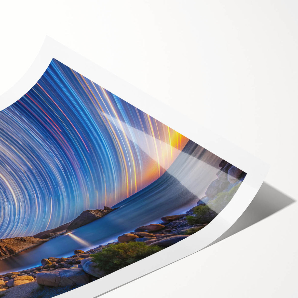 Extra large rolled print of line art flowers in monochrome, ideal for large living room wall art.