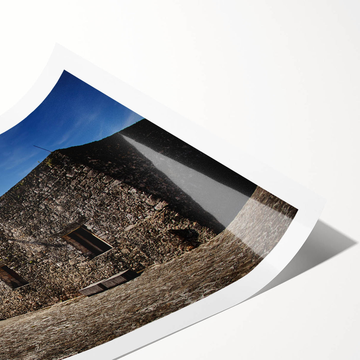 Extra large wall art featuring line art flowers in muted earth tones on a rolled print, suitable for large living room decor.