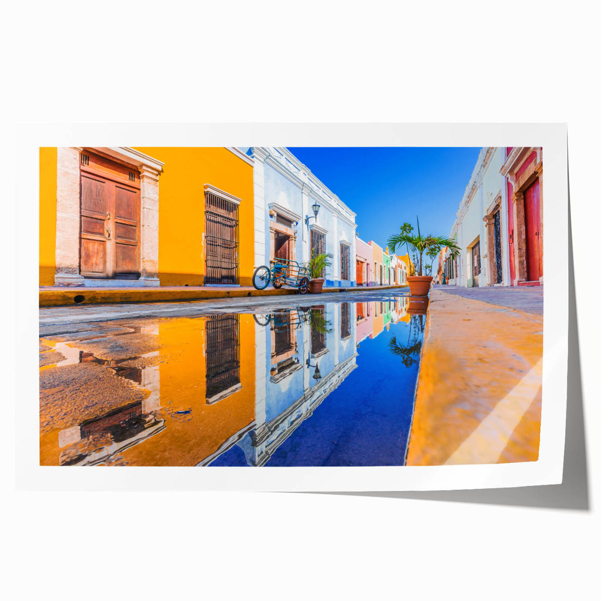 Extra large rolled print of Yucatan scenery with vibrant floral elements on a muted background.