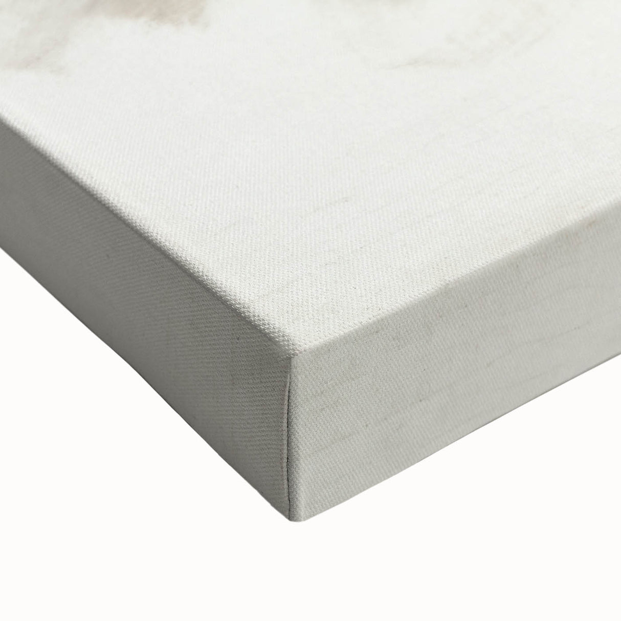 Romanticism Art: Studies of a Dead Bird by John Singer Sargent