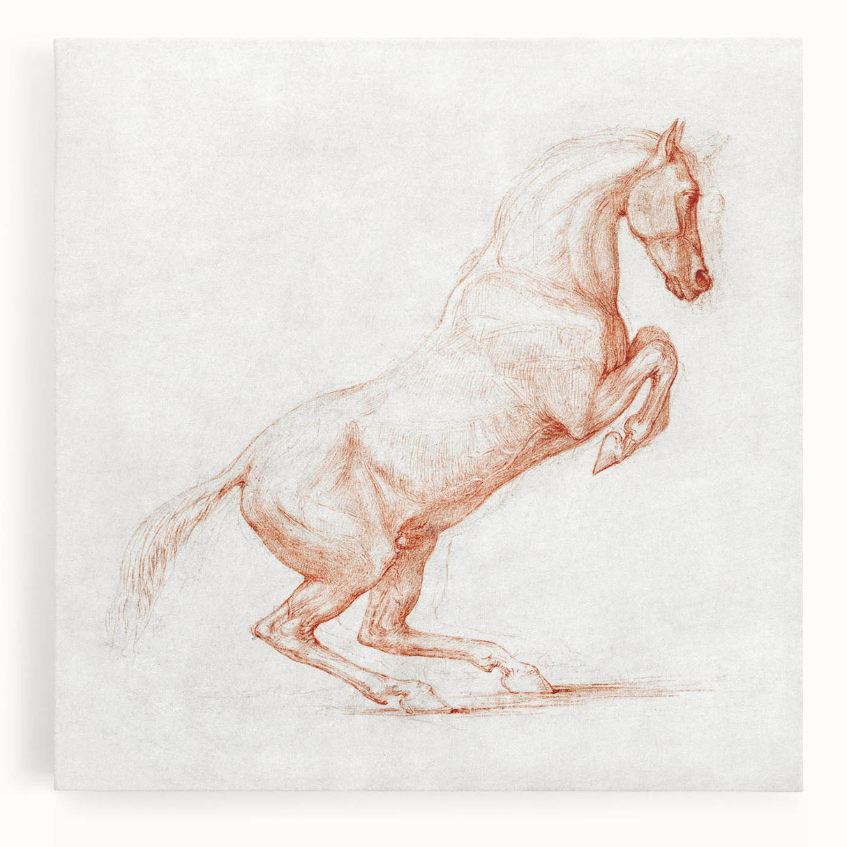 Romanticism Art: "Prancing Horse Sketch" by George Stubbs