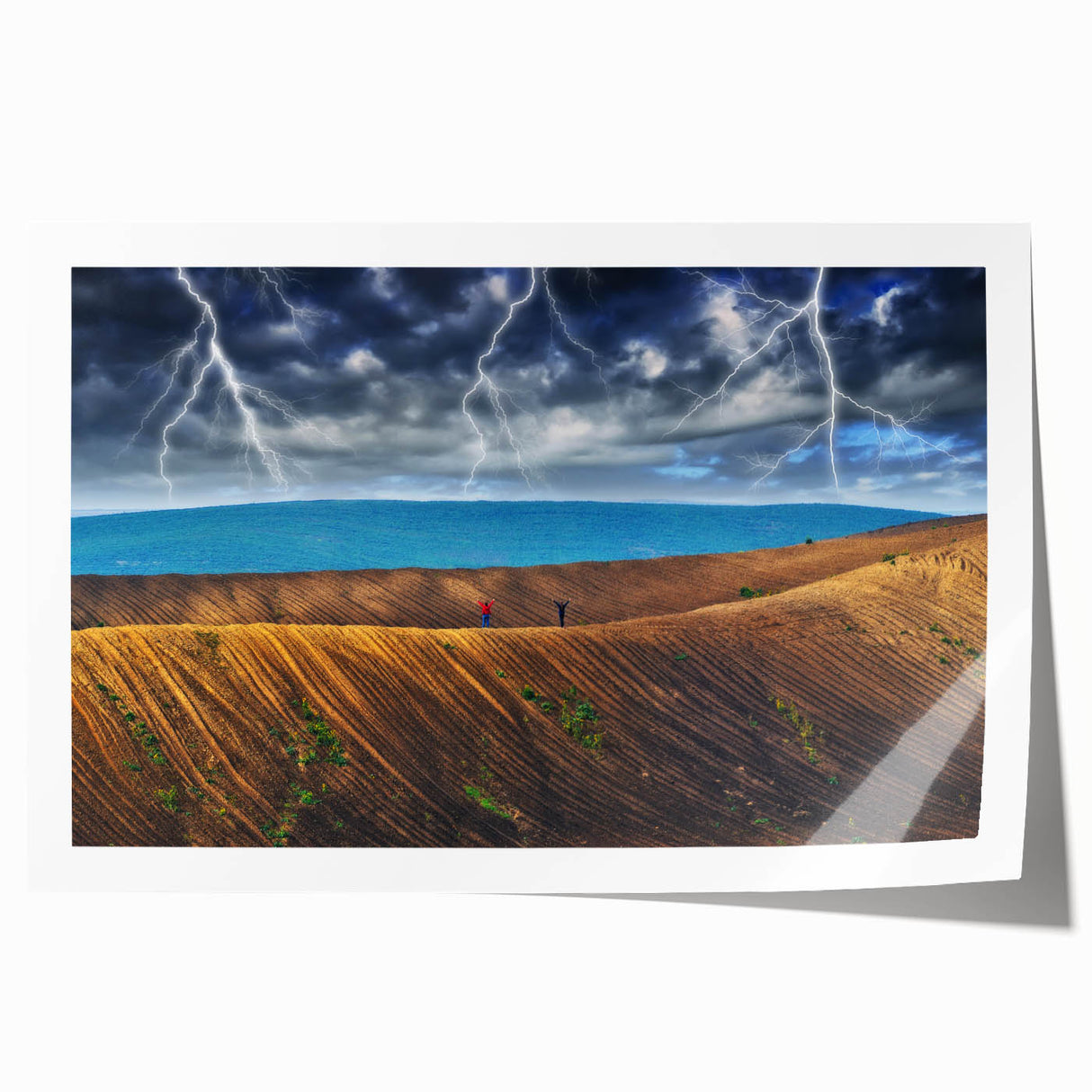 Rolled print of a Ukrainian landscape featuring vibrant green fields and a blue sky, ideal for dining room wall art.