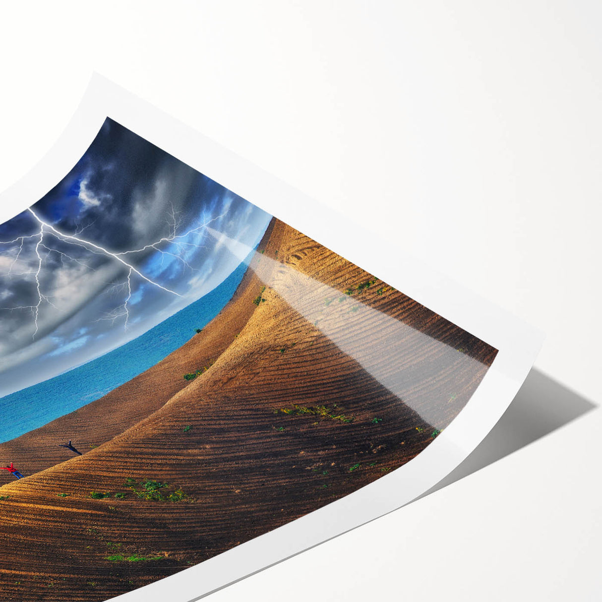 Extra large wall art featuring line art flowers in black on a white background, ideal for large living room decor.