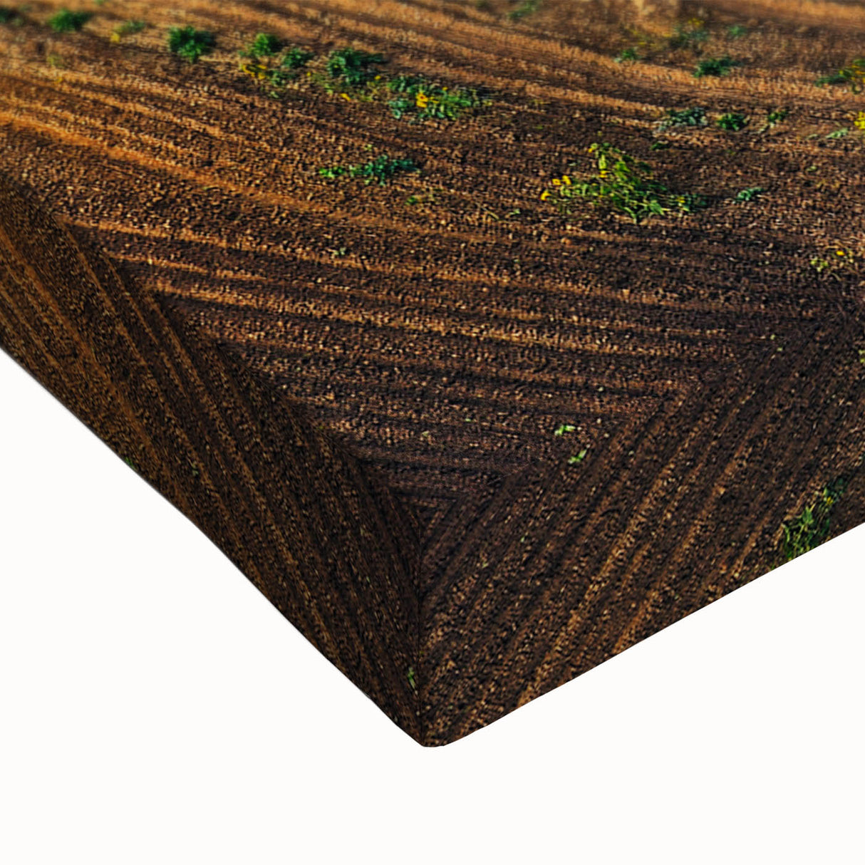 Large art of a black and white Ukrainian landscape on stretched canvas, suitable for bedroom wall decor.