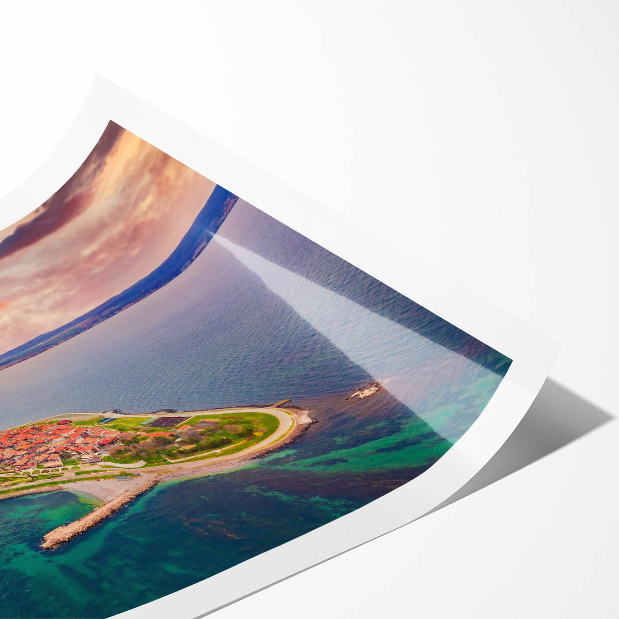 Extra large wall art depicting line art flowers in monochrome, ideal for large living room decor, rolled print format.