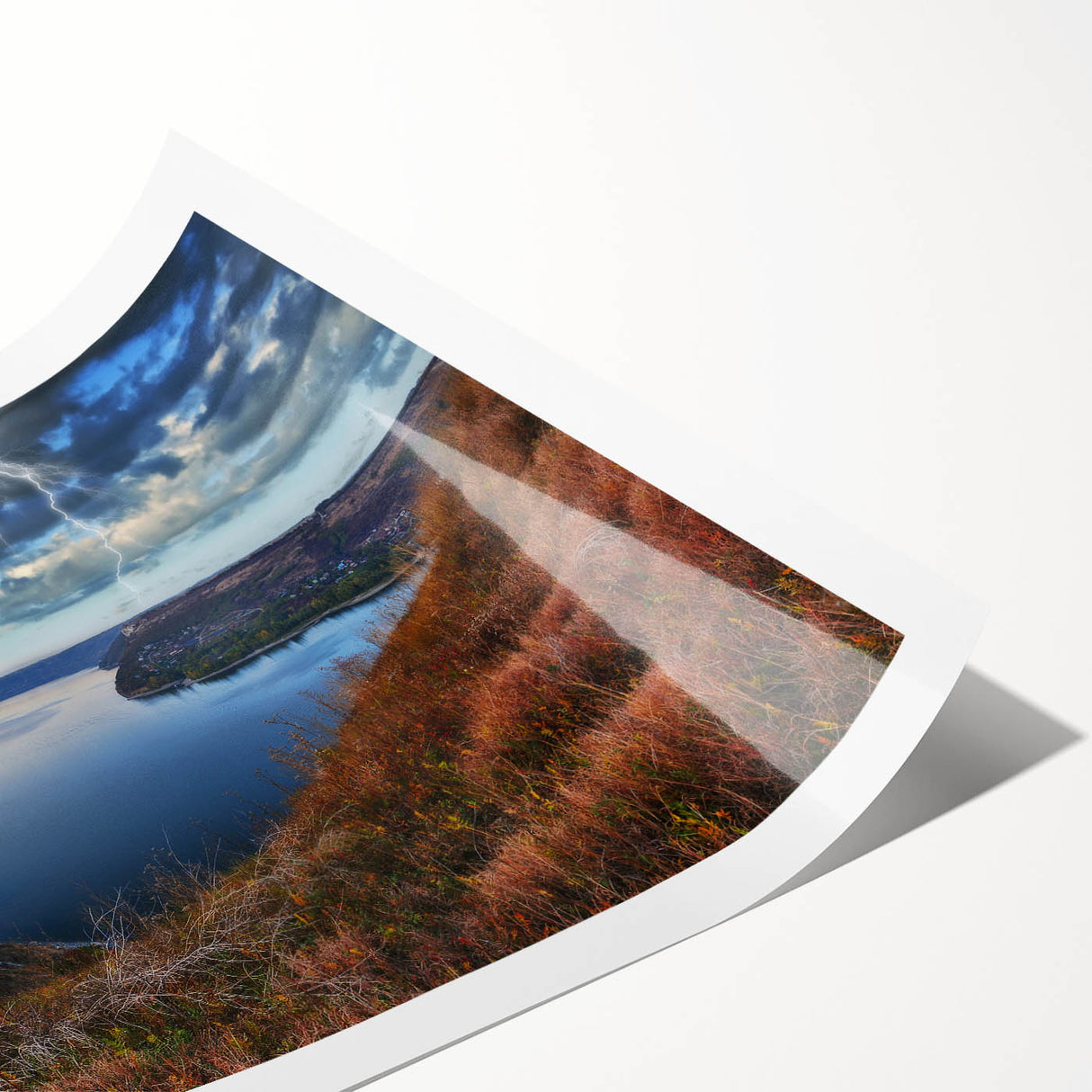 Extra large wall art featuring line art flowers in black on a white background, rolled print format.