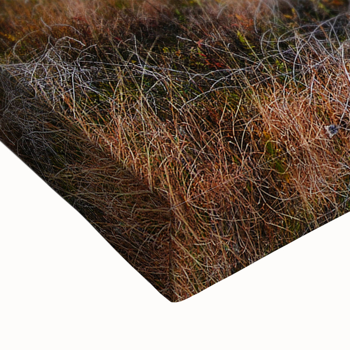 Large art of a black and white Ukrainian landscape on stretched canvas, ideal for bedroom decor.