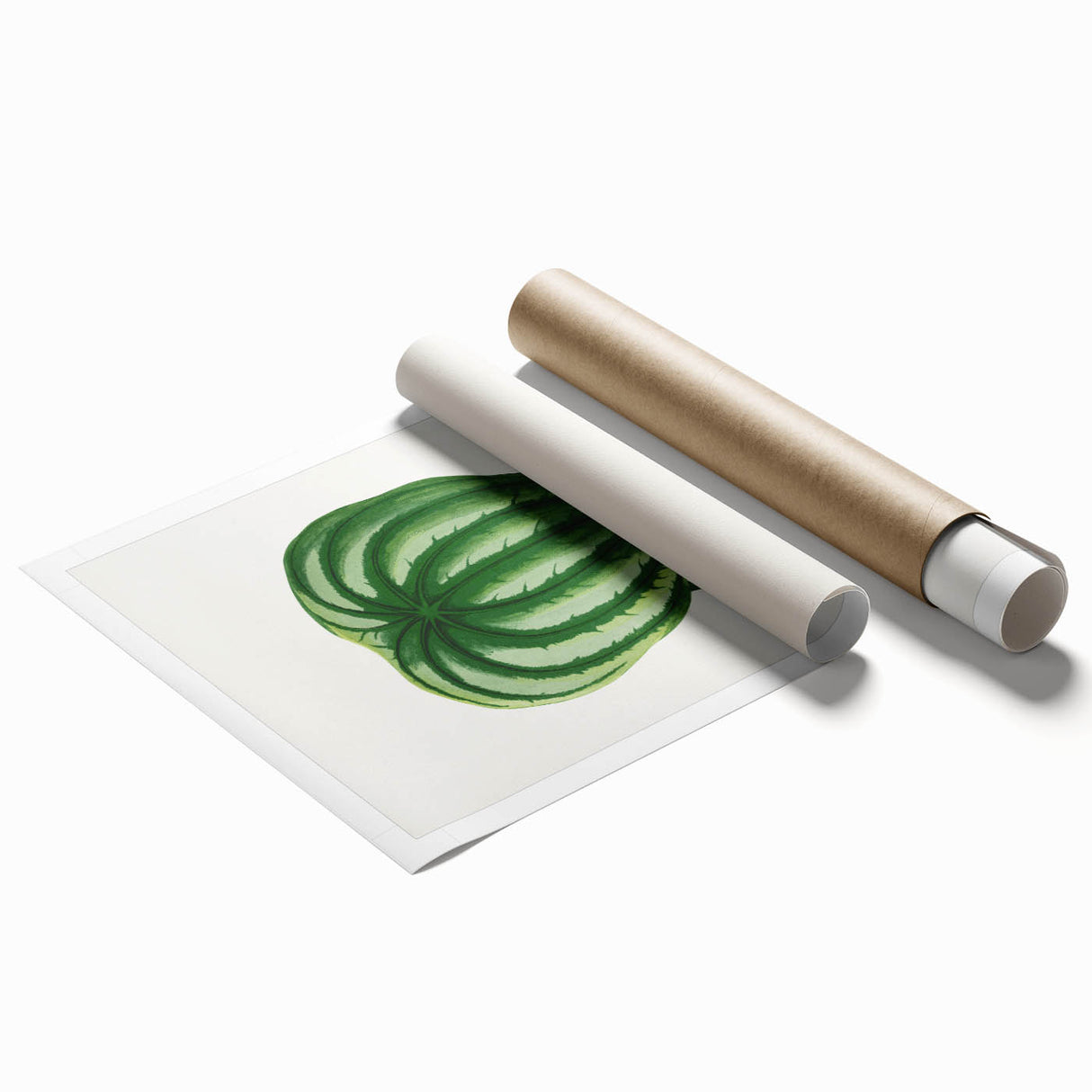 Romanticism Art - Peperomia Argyrea Leaf Illustration on Canvas