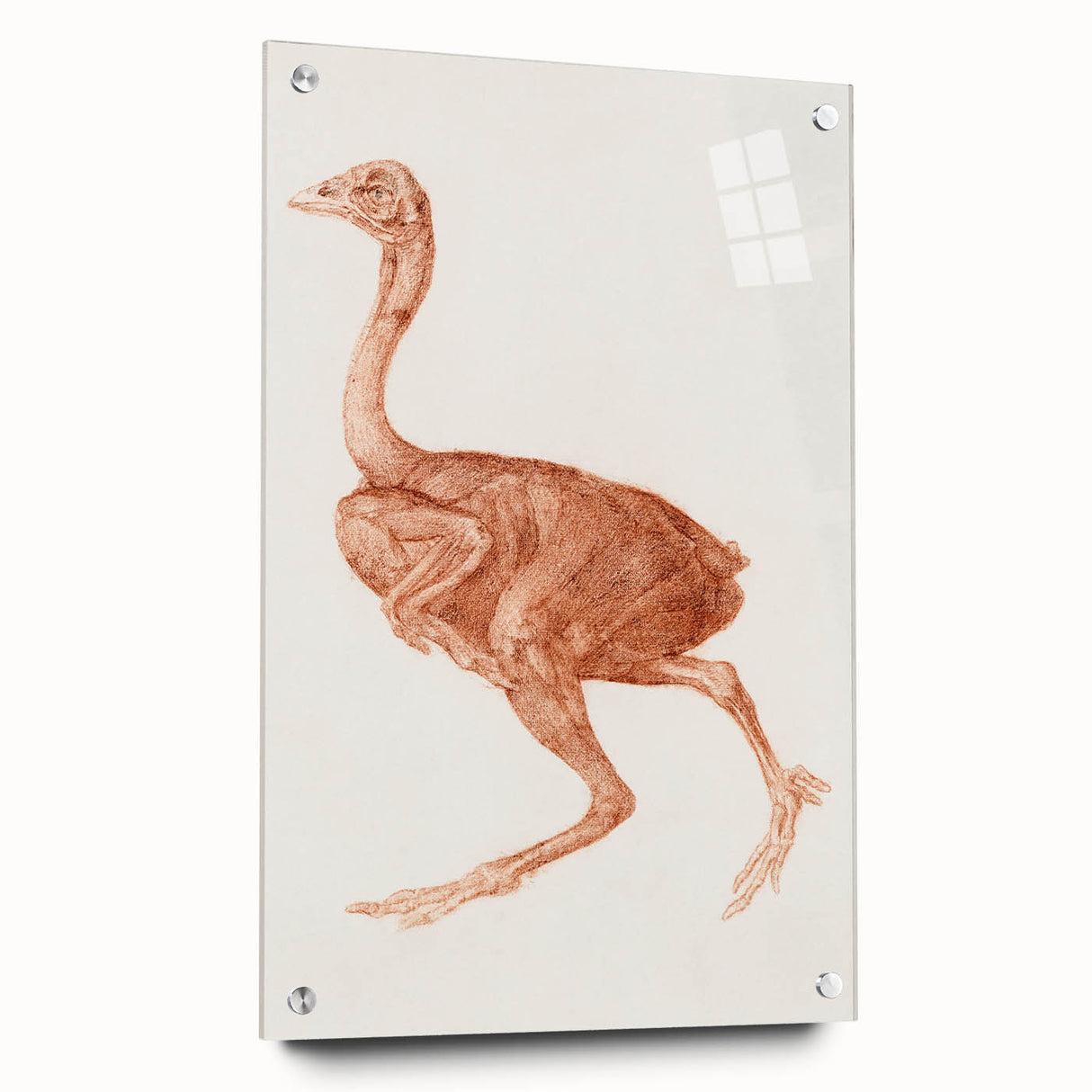 Romanticism Art - Dorking Hen by George Stubbs