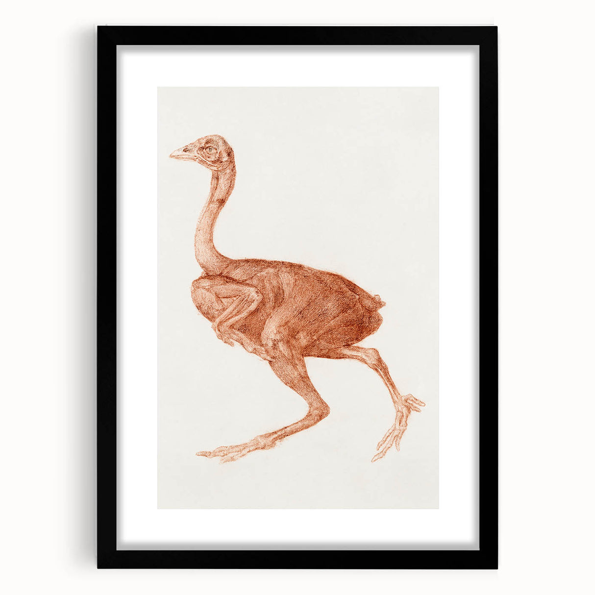 Romanticism Art - Dorking Hen by George Stubbs