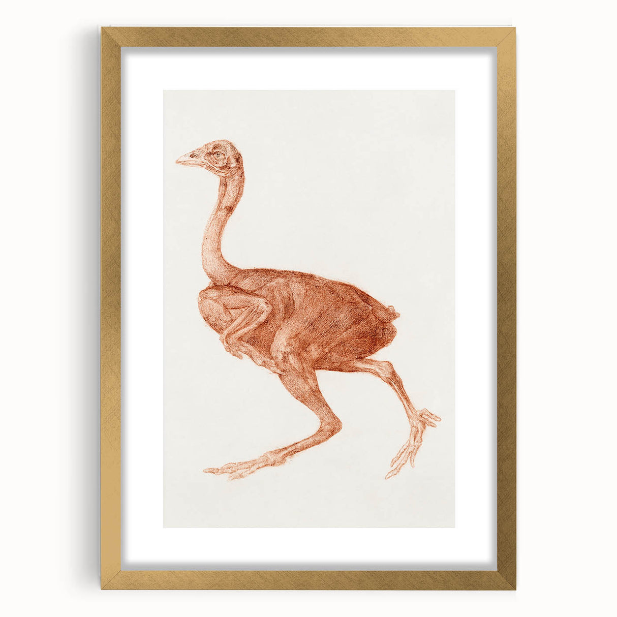 Romanticism Art - Dorking Hen by George Stubbs