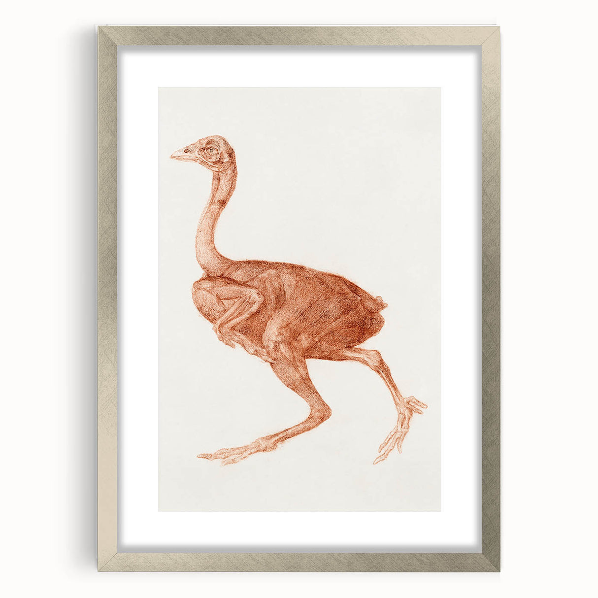 Romanticism Art - Dorking Hen by George Stubbs