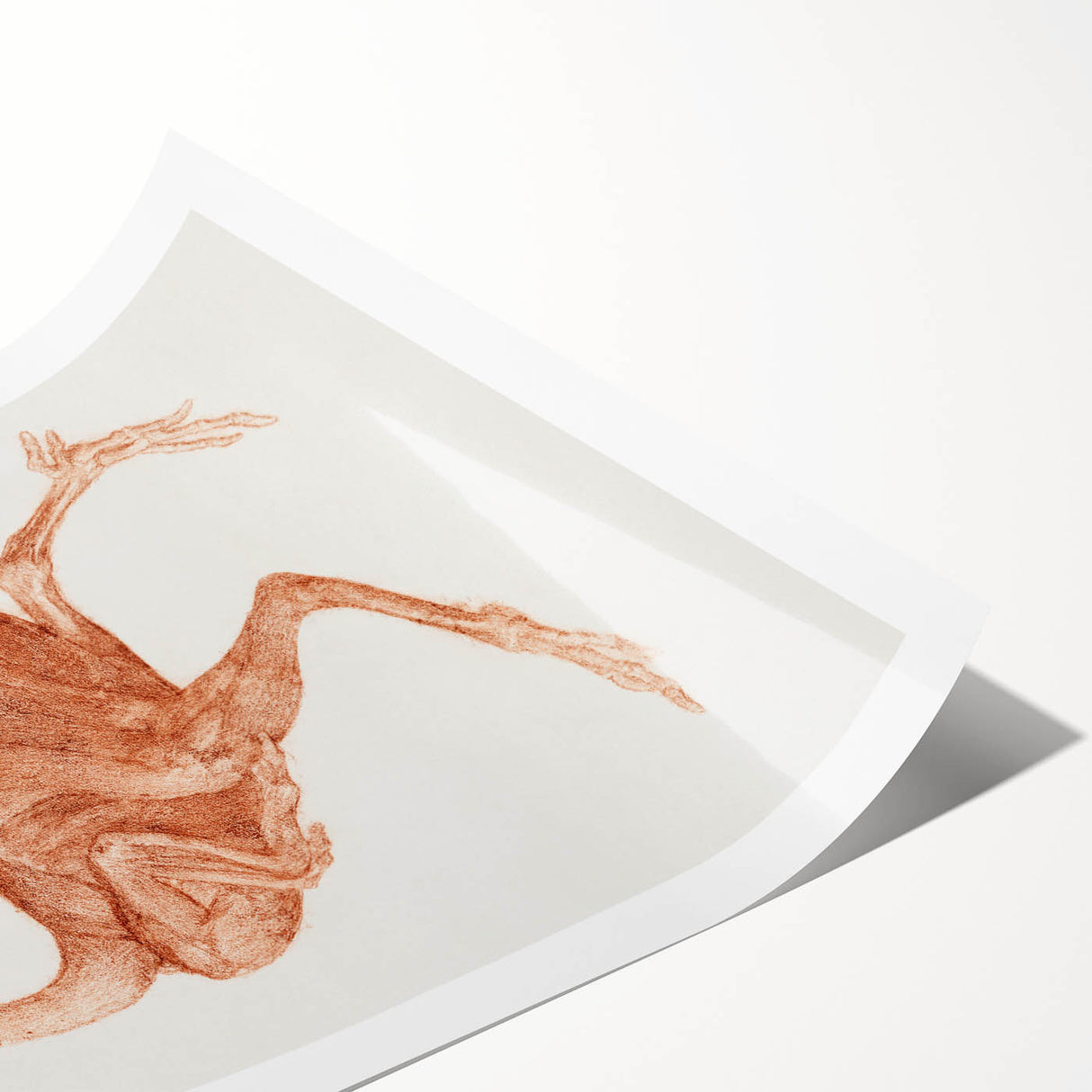 Romanticism Art - Dorking Hen by George Stubbs