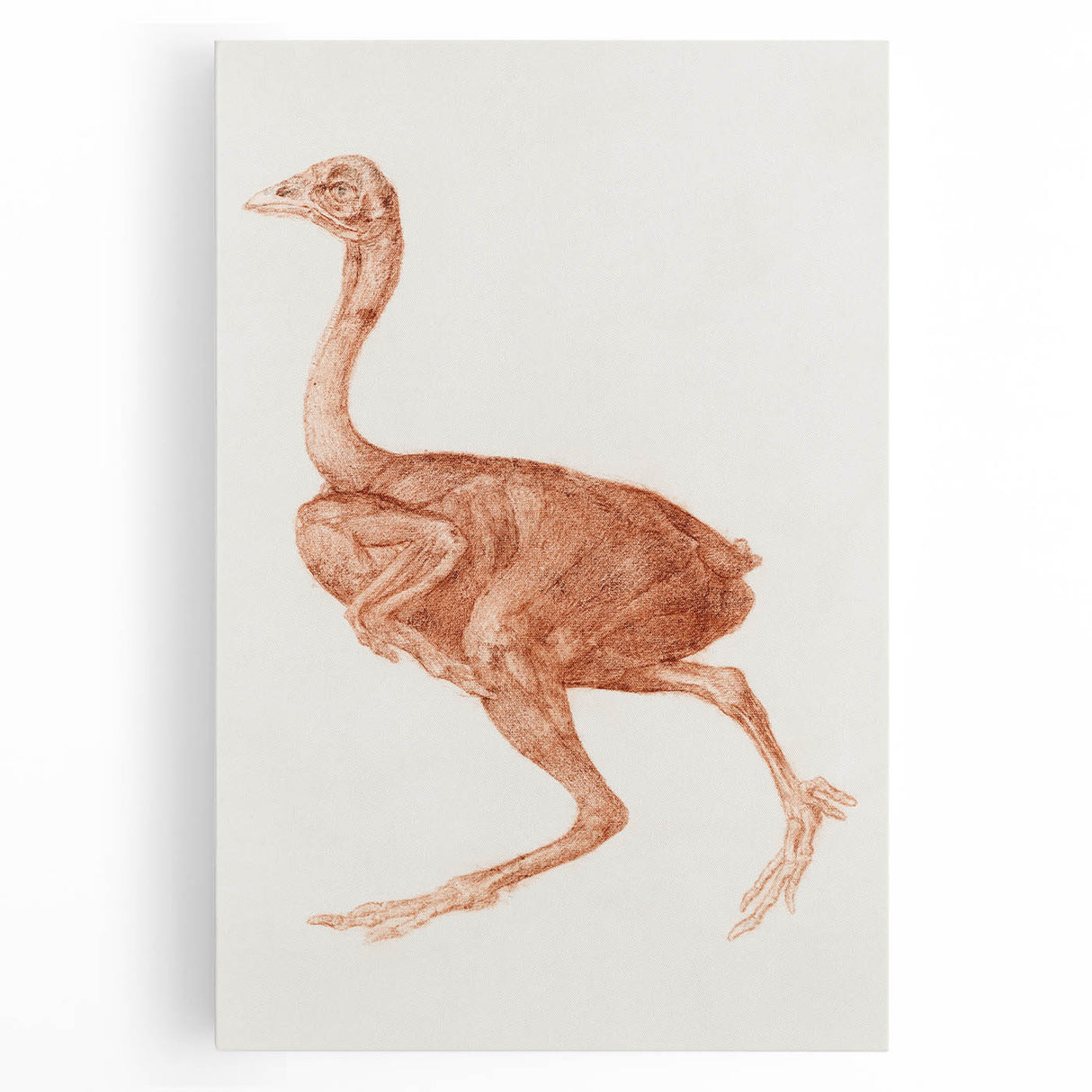 Romanticism Art - Dorking Hen by George Stubbs