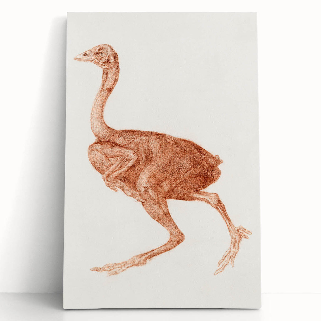 Romanticism Art - Dorking Hen by George Stubbs