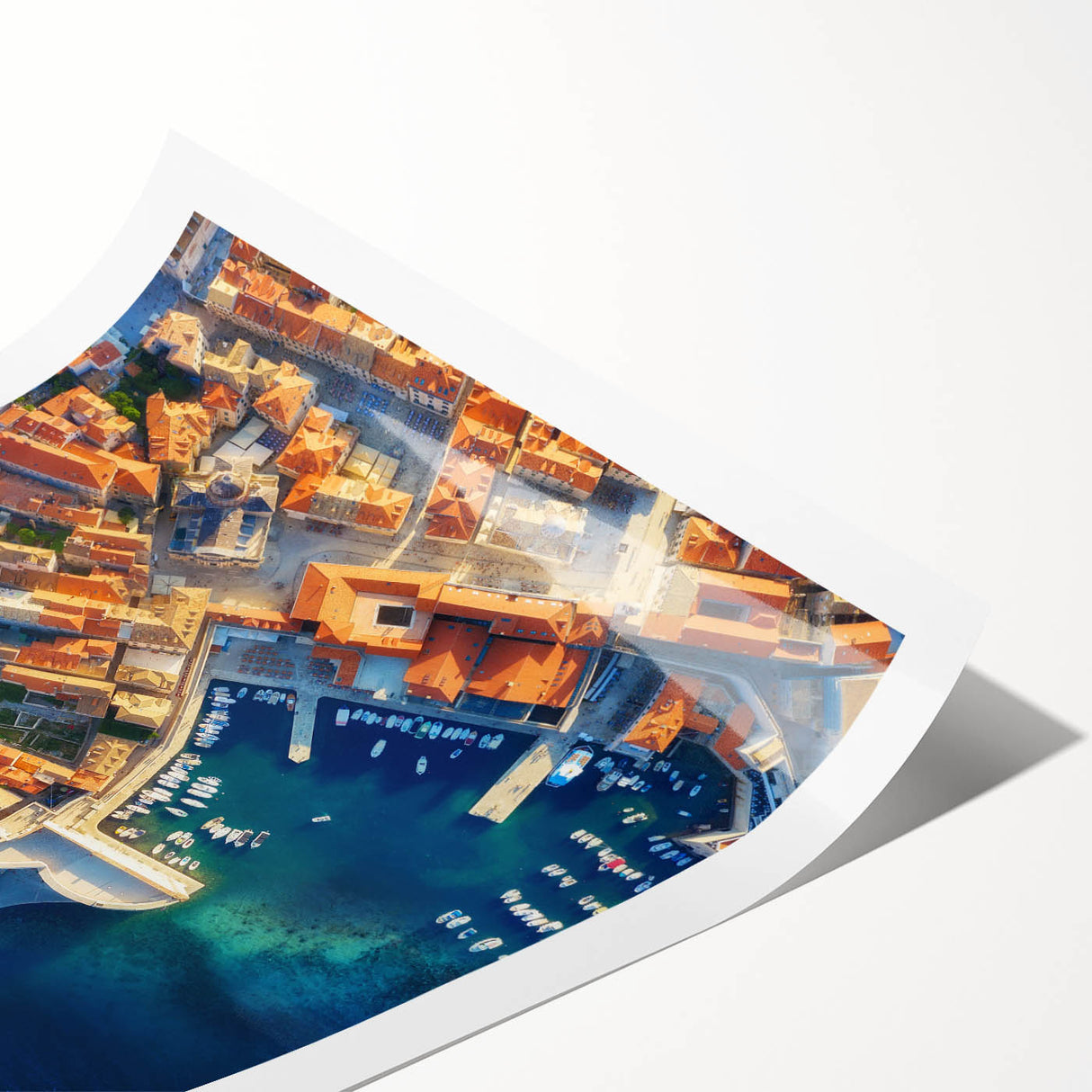 Extra large rolled print featuring line art flowers in muted earth tones, ideal for large living room wall decor.