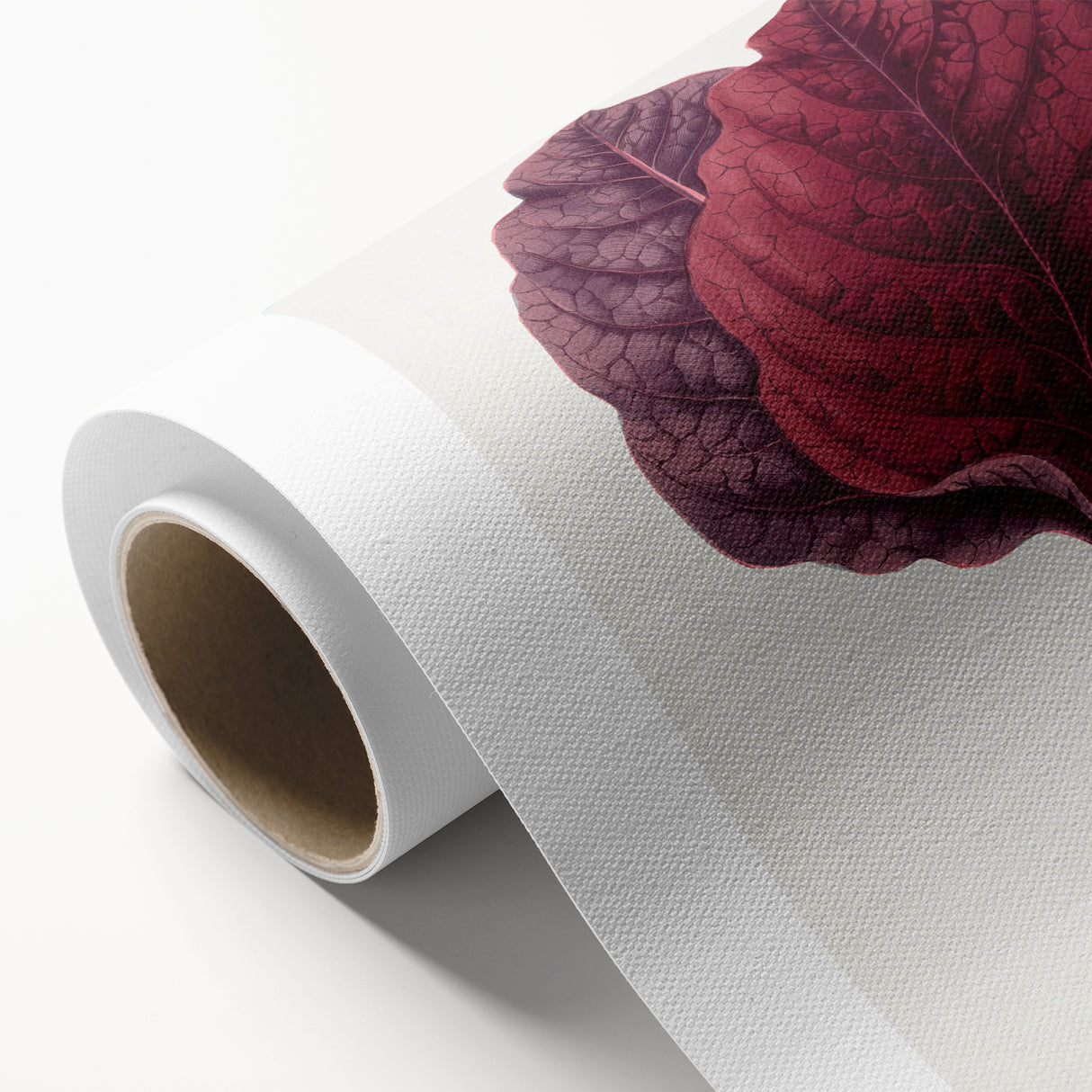 Romanticism Art - Amarantus Melancholicus Leaf Illustration on Canvas