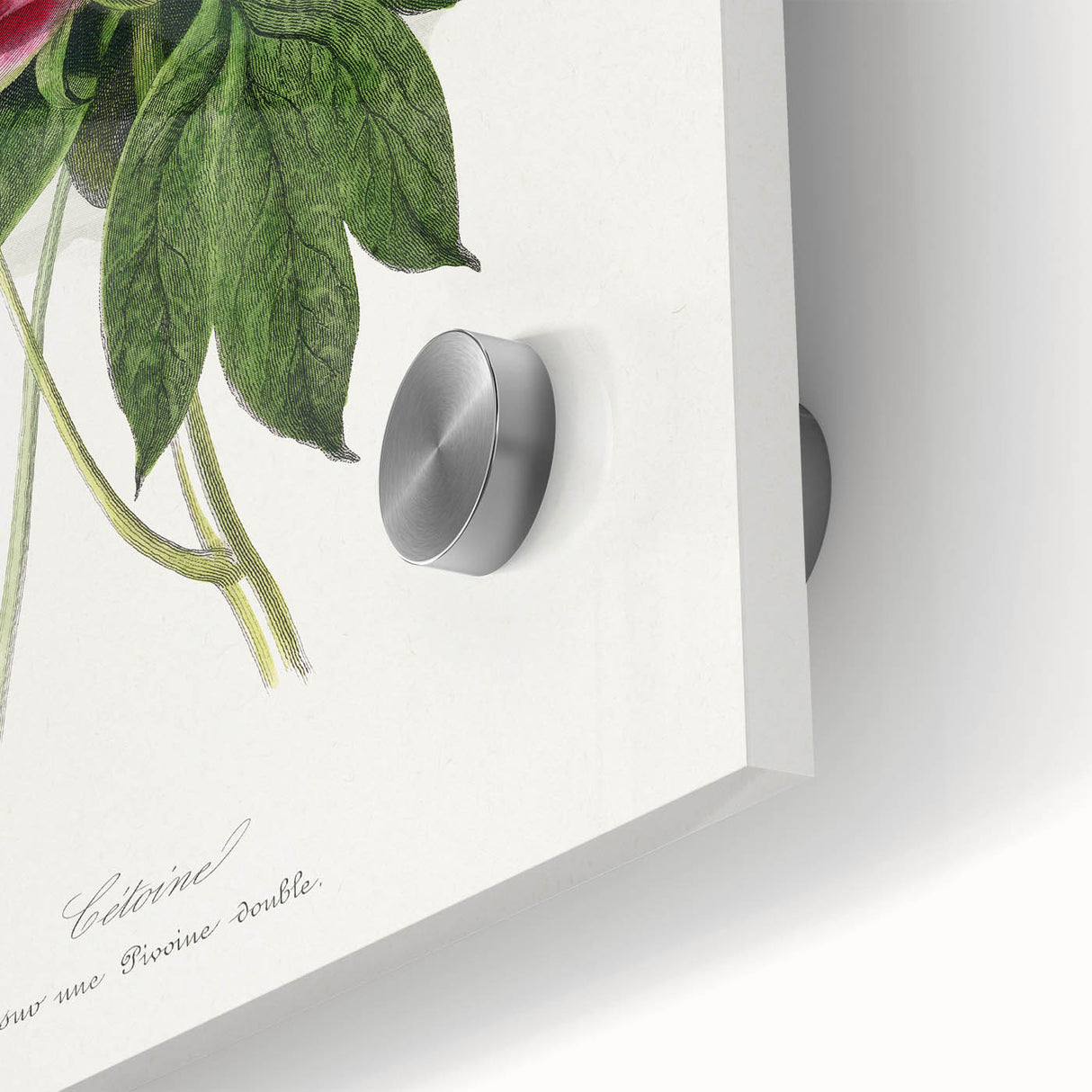 Romanticism Art - Peony Flower Painting on Canvas