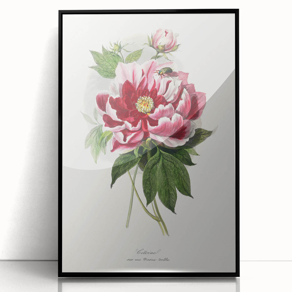 Romanticism Art - Peony Flower Painting on Canvas