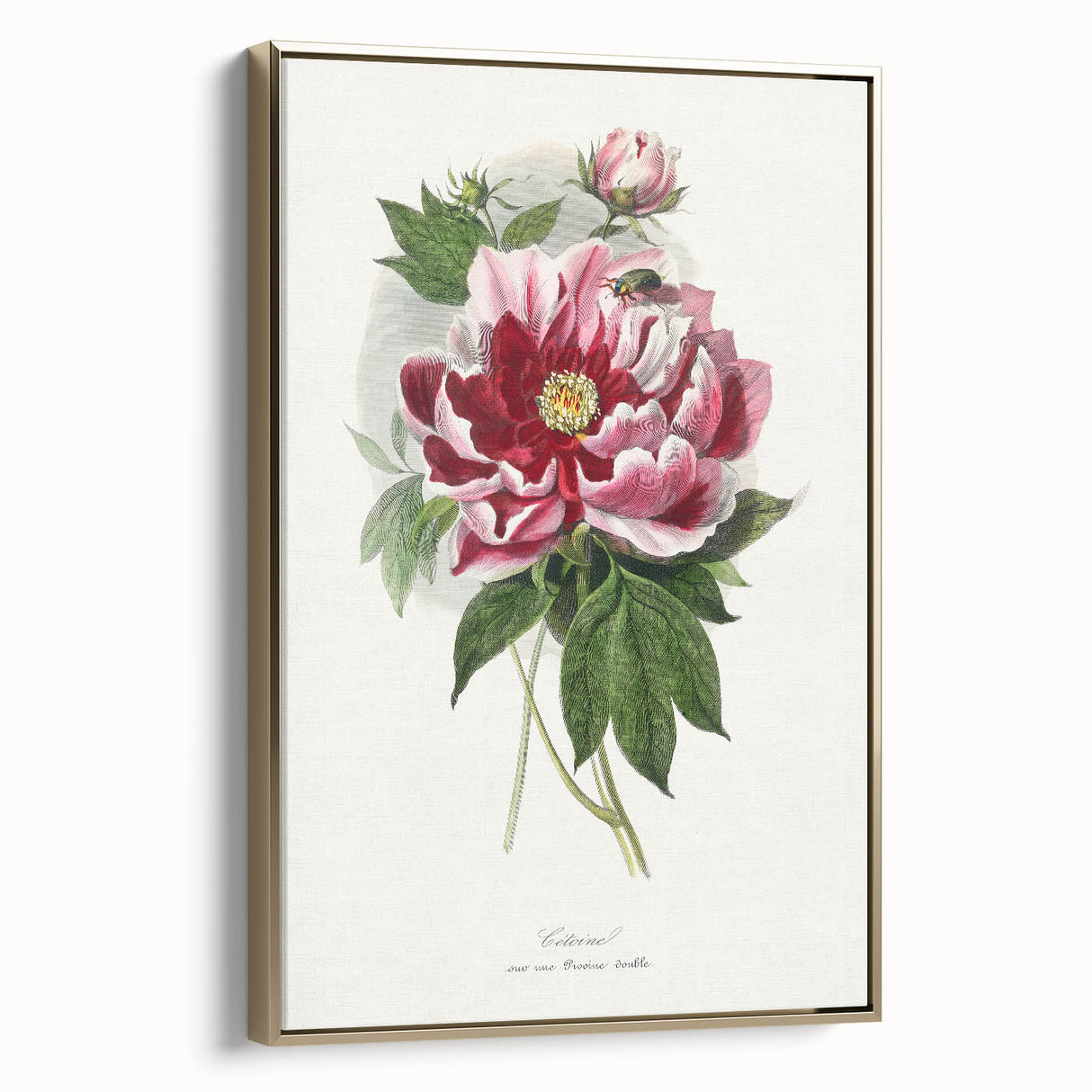 Romanticism Art - Peony Flower Painting on Canvas