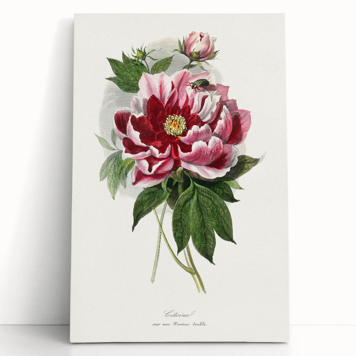 Romanticism Art - Peony Flower Painting on Canvas