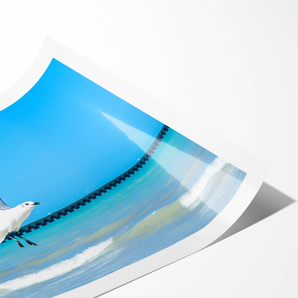 Extra large wall art featuring line art flowers in muted earth tones on a rolled print, suitable for large living room decor.