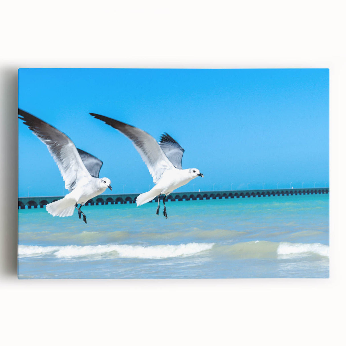Black and white large art print of Yucatan scenery on stretched canvas, ideal for kitchen wall art.