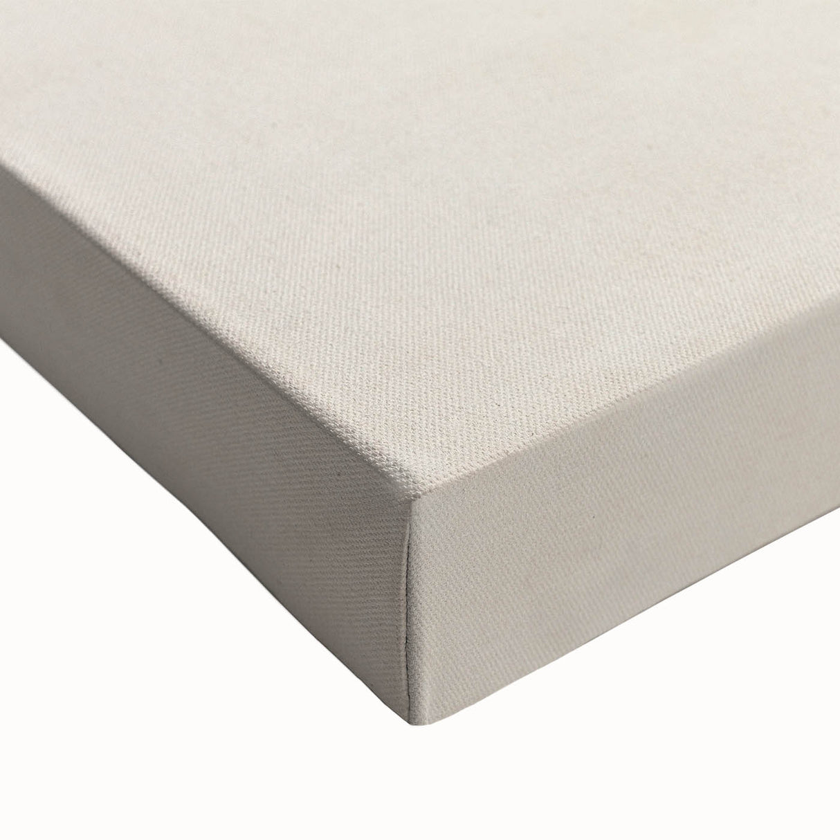 Romanticism Art: Lion Illustration by Charles Dessalines D'Orbigny