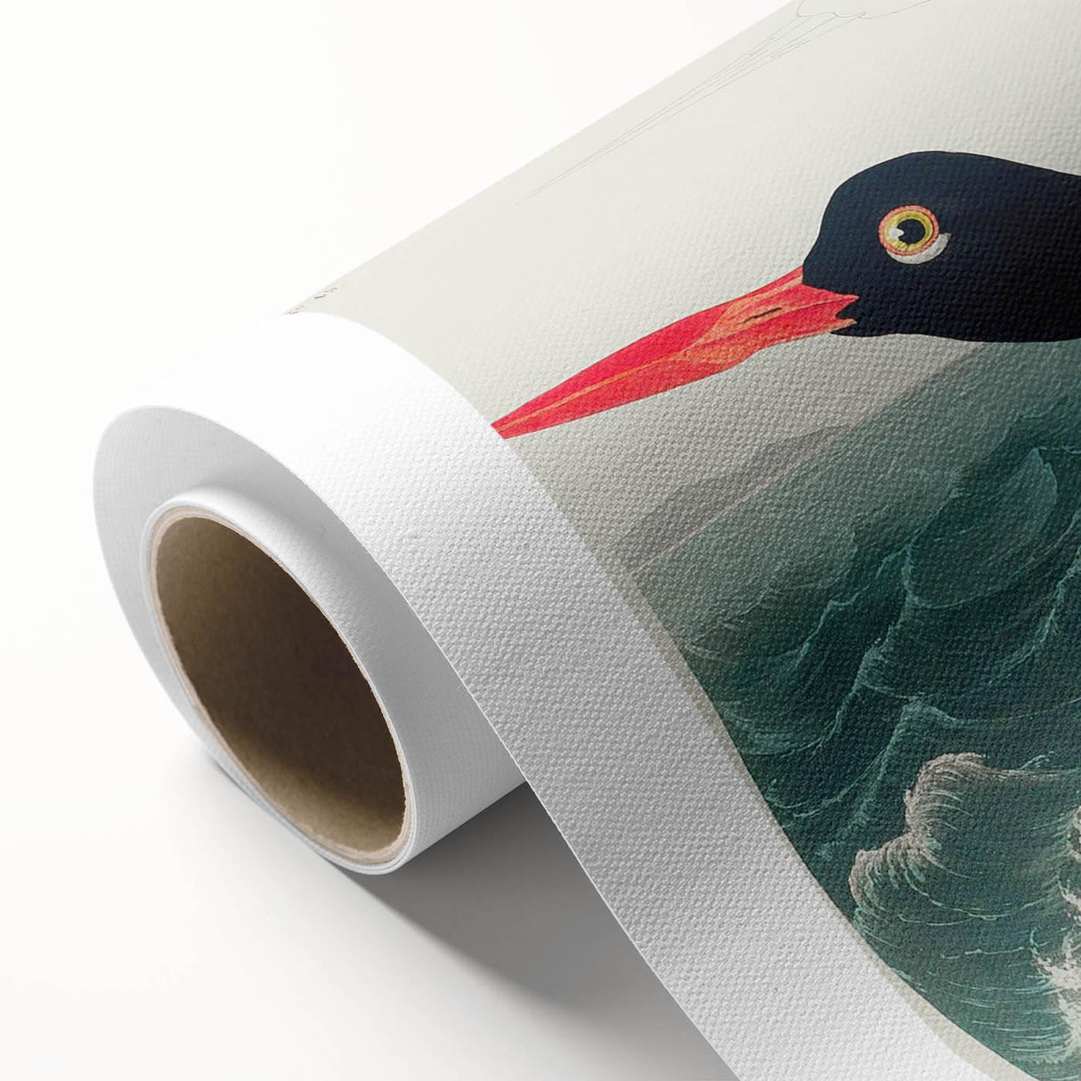 Romanticism Art: Pied Oyster Catcher by John James Audubon