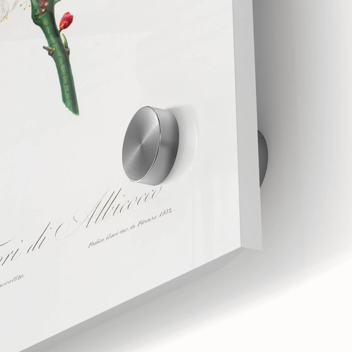 Romanticism Art: Apricot Blossom by Giorgio Gallesio