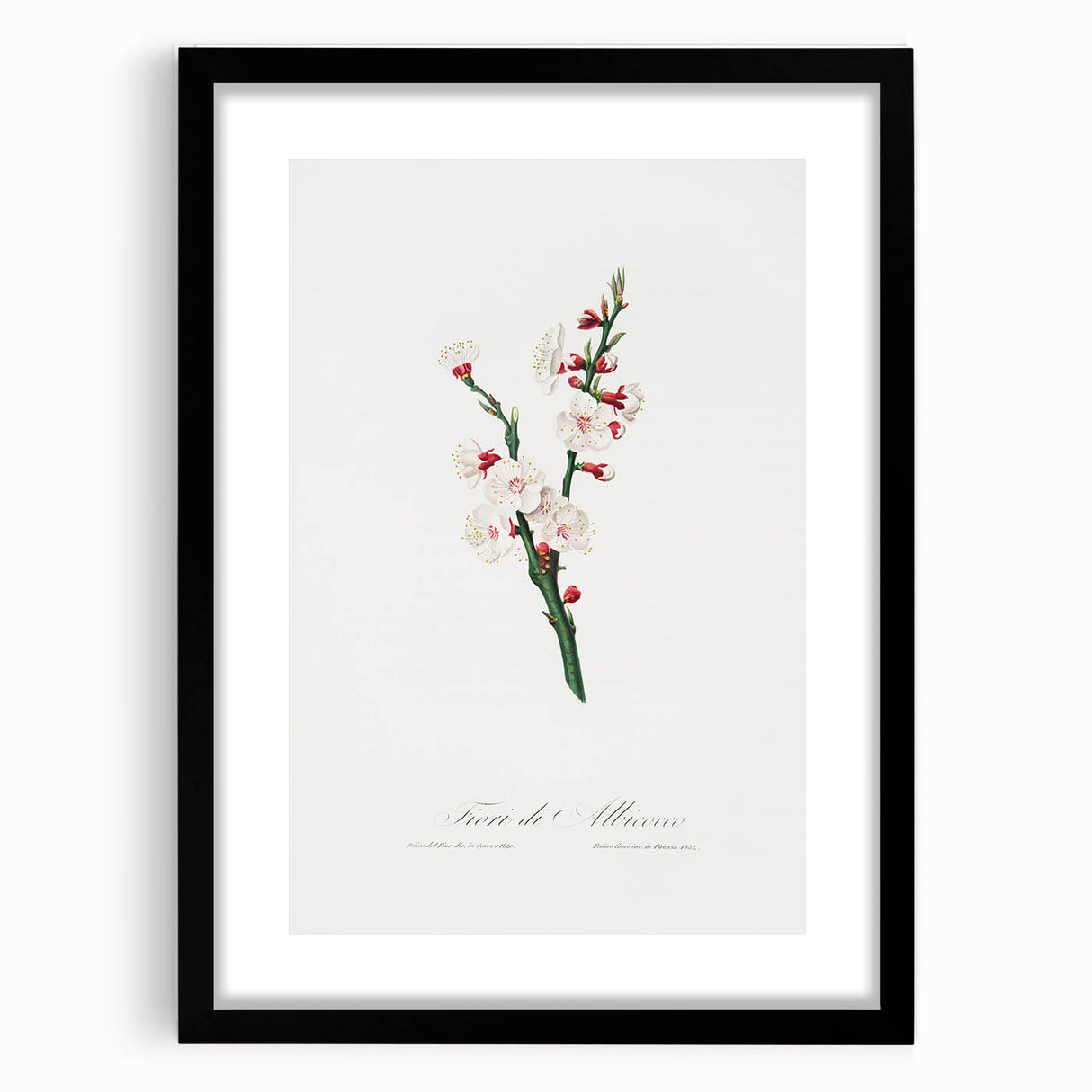 Romanticism Art: Apricot Blossom by Giorgio Gallesio