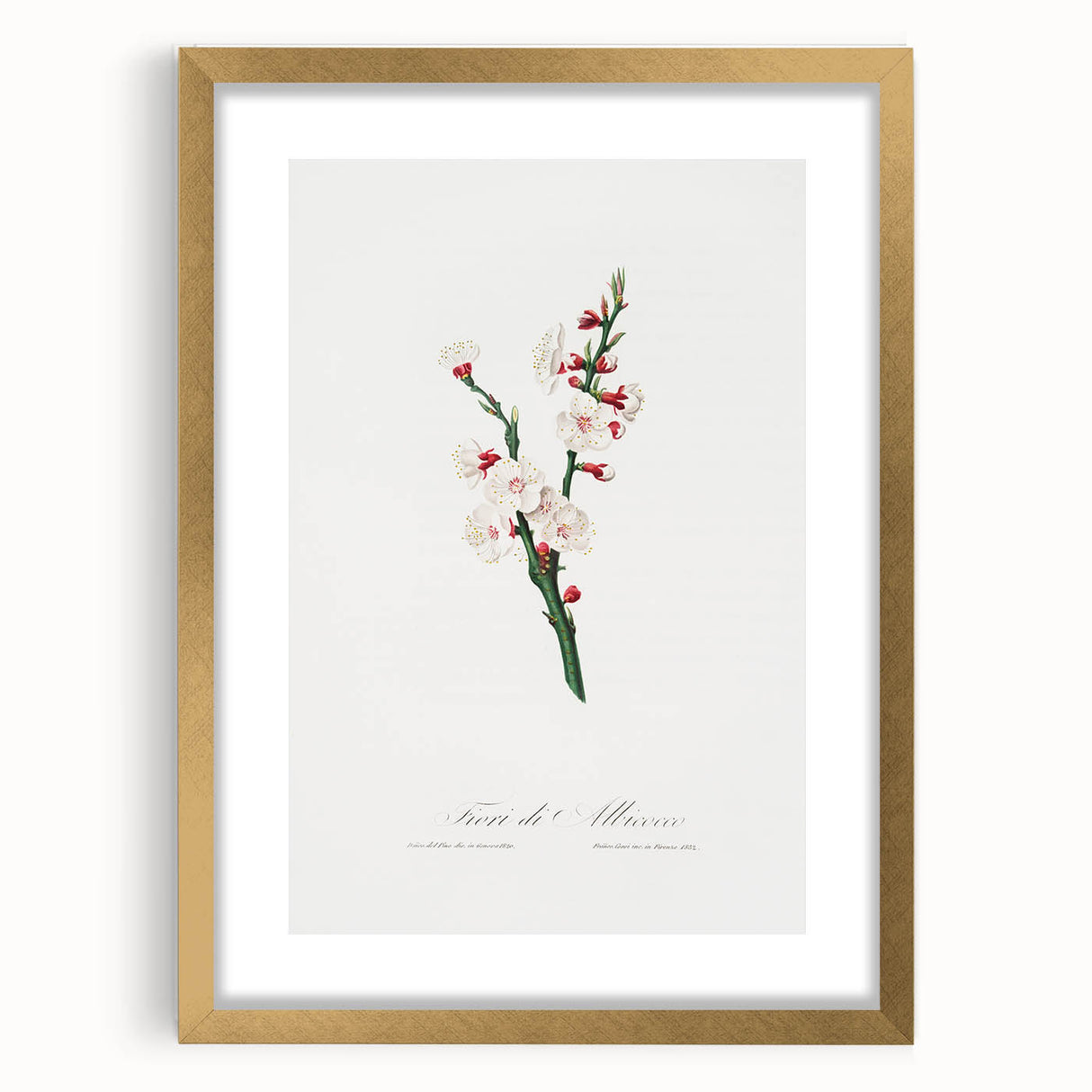 Romanticism Art: Apricot Blossom by Giorgio Gallesio